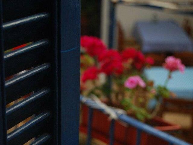 фото отеля Dioskouros Hostel изображение №21