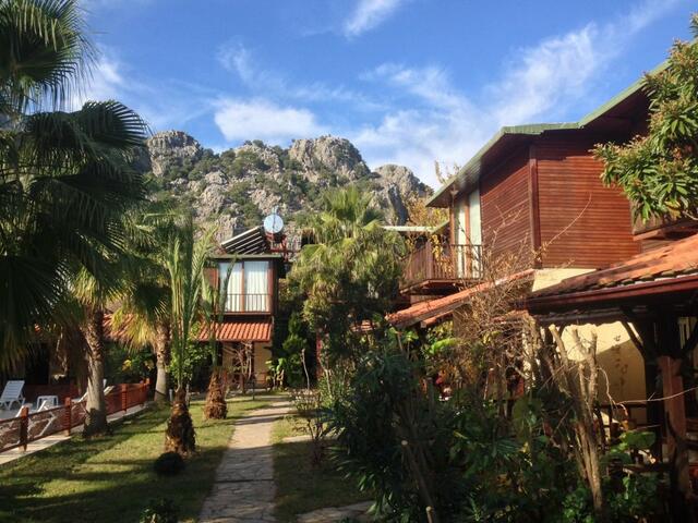 фотографии Kutle  изображение №28