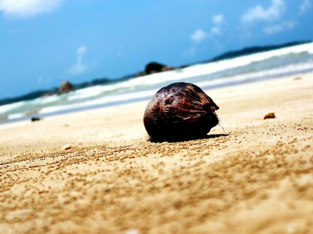 фотографии отеля Surasa Beach Resort изображение №15
