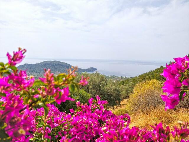 фотографии Zephyros Hotel изображение №24