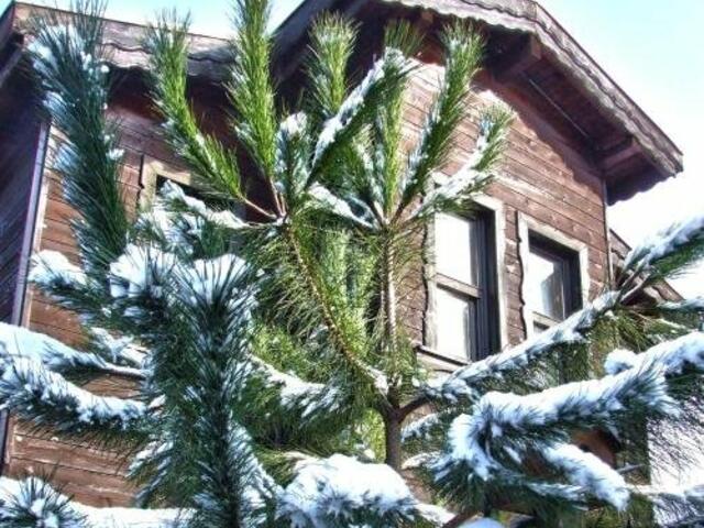 фотографии отеля Agva Piccolo Mondo Hotel изображение №35