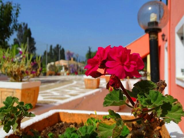 фото отеля Joanna Apartments изображение №5