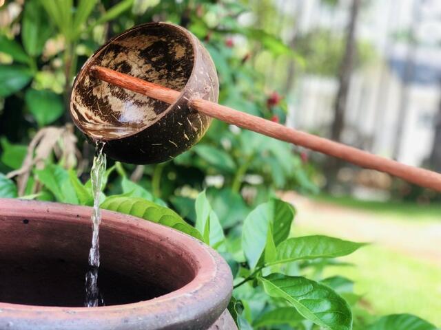 фото отеля Doi Sao Phu Quoc изображение №5