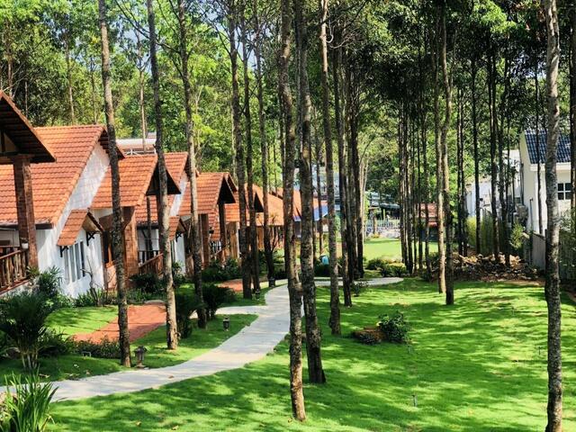 фотографии Doi Sao Phu Quoc изображение №4