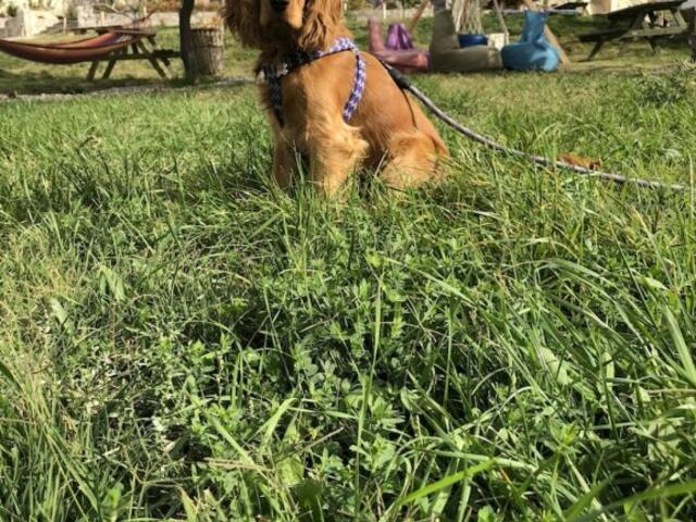 фото Miracle Cave Hotel - Special Class изображение №30