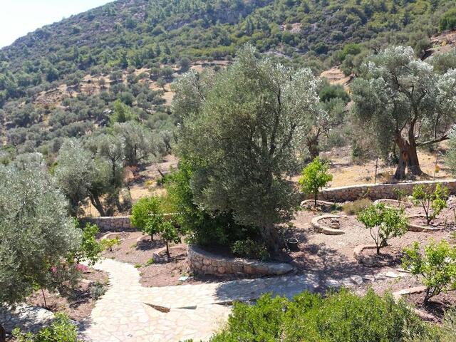 фотографии отеля Zephyros Hotel изображение №11