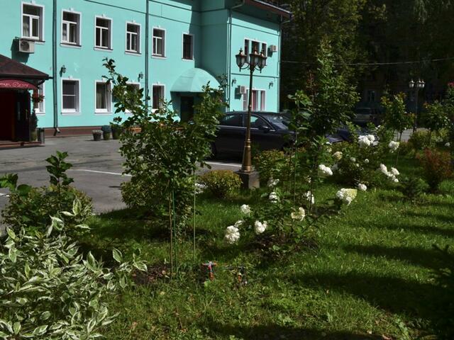 фотографии отеля Romani изображение №3