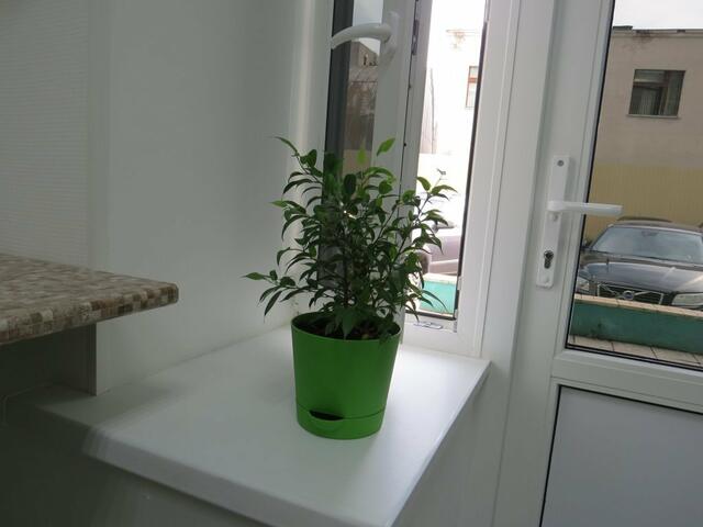 фотографии Хостел СВ изображение №20