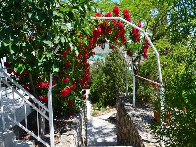 фото отеля Лазурный (Lazurnyj) изображение №9