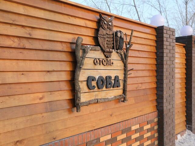 фотографии Сова На Авиационной (Sova Na Aviacionnoy) изображение №4