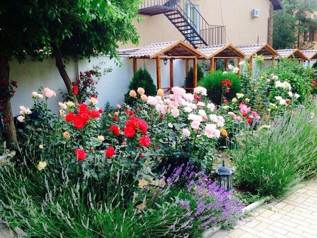 фото Мечта изображение №2