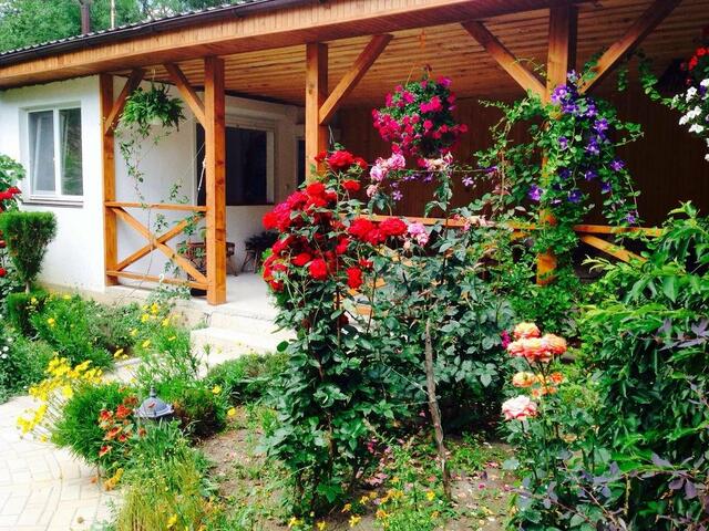 фотографии Мечта изображение №4