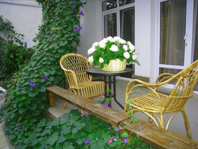 фотографии отеля Мечта изображение №7