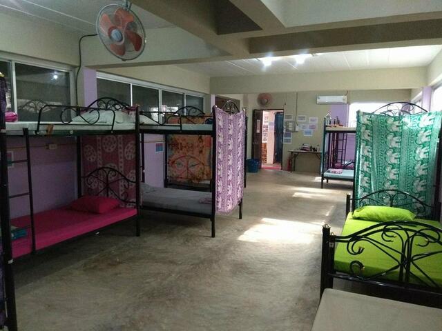 фотографии Loro Loco 2 изображение №8