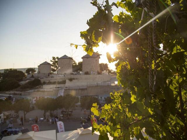 фото Alacati Sardunya изображение №2