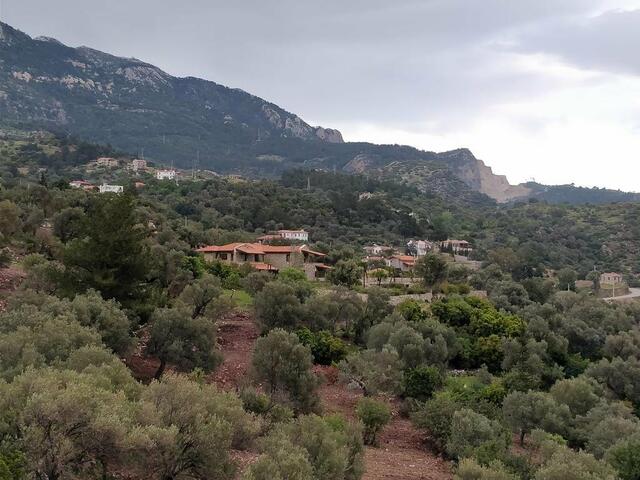 фото отеля Zephyros Hotel изображение №21