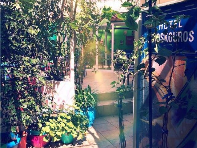 фото Dioskouros Hostel изображение №2