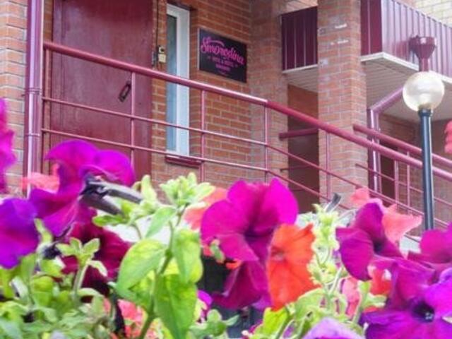 фотографии отеля Smorodina Hotel & Hostel изображение №3
