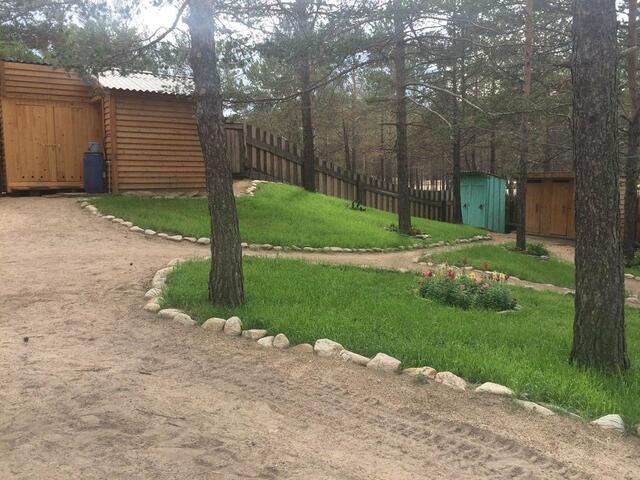 фотографии Inn Oasis изображение №16