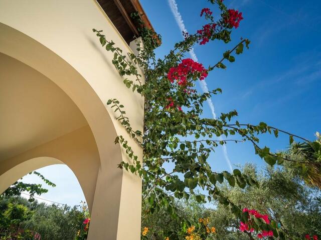 фото Olga Studios изображение №2