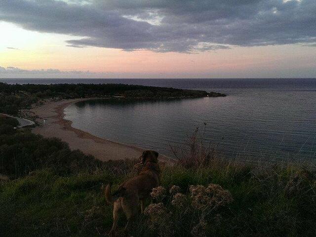 фото Elma's Dream Apartments изображение №6