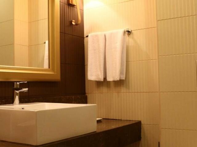 фотографии отеля Волга Премиум Отель изображение №11