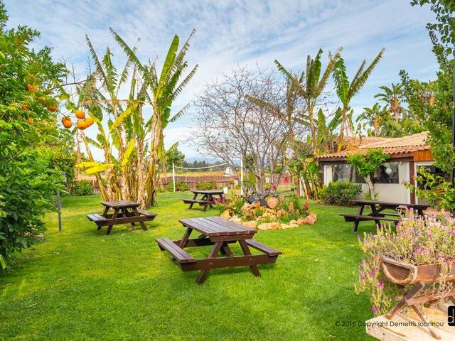 фотографии Bay View Hotel Apartments изображение №8