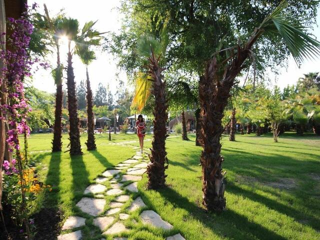 фото Layla Gocek - Adults Only изображение №10