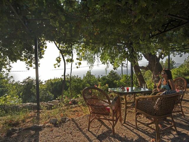 фото отеля Faralya Botanica изображение №5