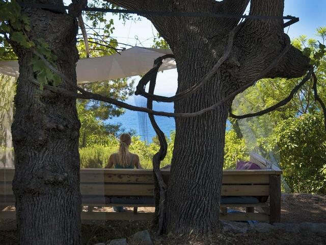 фотографии отеля Faralya Botanica изображение №15