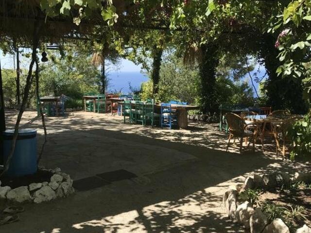 фото Faralya Botanica изображение №2