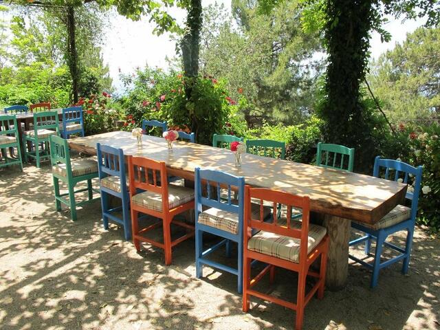 фотографии Faralya Botanica изображение №28