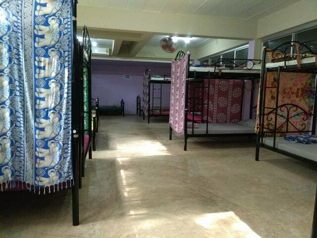 фото Loro Loco 2 изображение №18