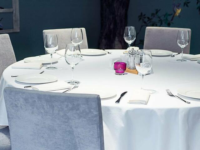 фото Сова (Sova) изображение №6