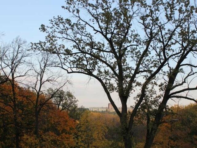 фото БританиЯ Хостел изображение №2