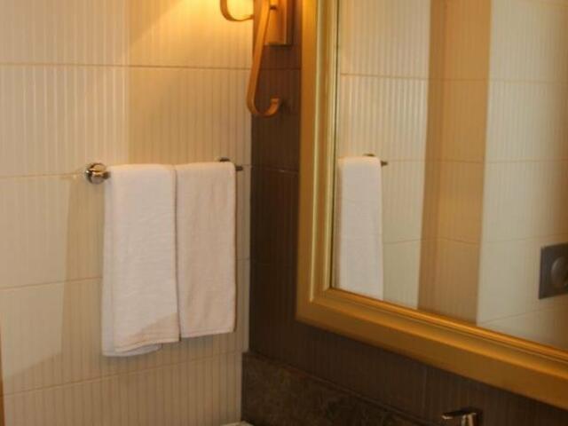 фото отеля Волга Премиум Отель изображение №13