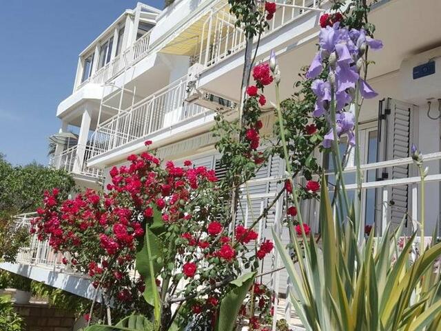 фото Sun Rose Apartments изображение №6