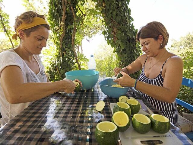 фотографии отеля Faralya Botanica изображение №23