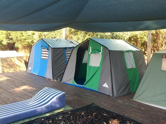 фото Faralya Botanica изображение №22