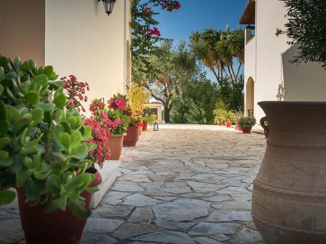 фотографии отеля Olga Studios изображение №7