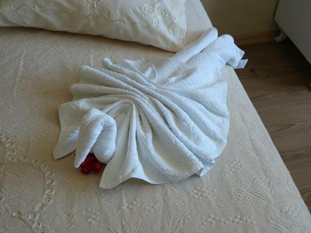 фотографии Wallabies Victoria Hotel изображение №20