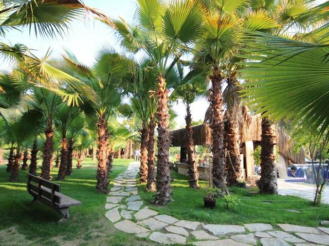 фото отеля Layla Gocek - Adults Only изображение №9