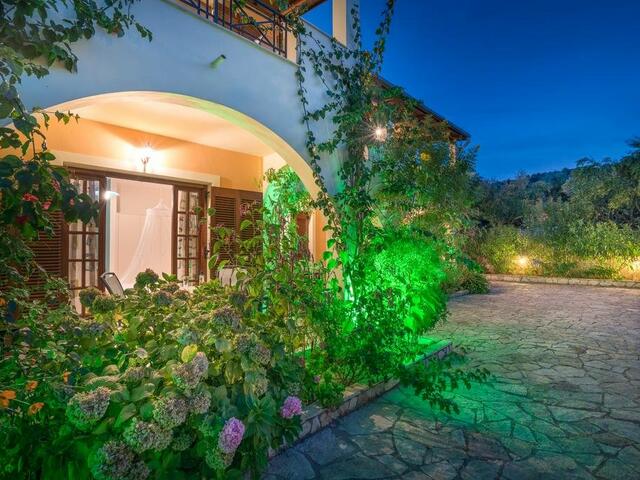 фото Olga Studios изображение №6