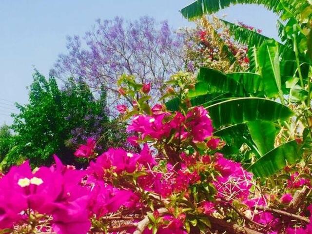 фото Bay View Hotel Apartments изображение №2