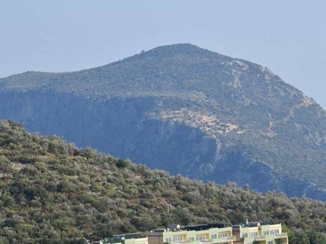 фотографии отеля Happy Hotel Kalkan изображение №7