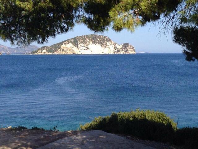 фотографии отеля Olga Studios изображение №3