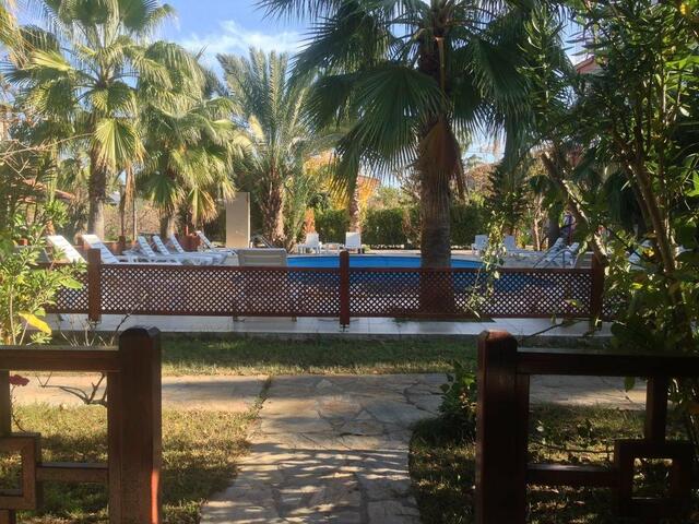 фото Kutle  изображение №34