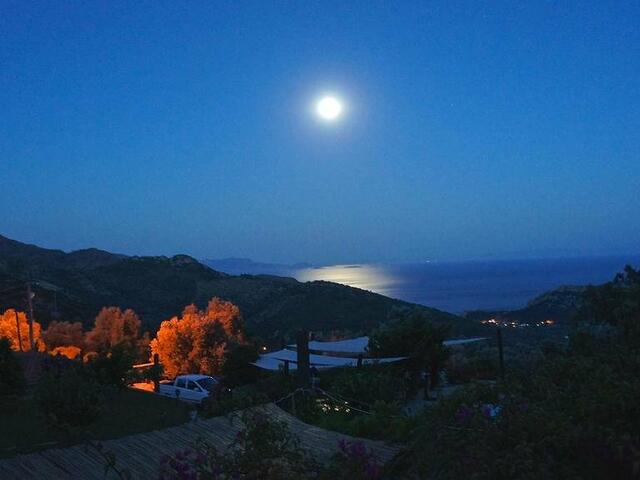 фото Zephyros Hotel изображение №14