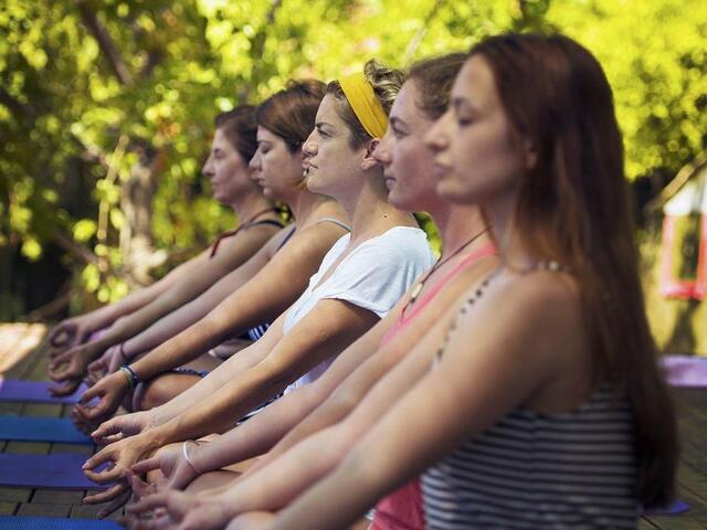 фото Faralya Botanica изображение №18