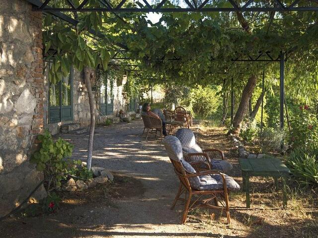 фото Faralya Botanica изображение №6